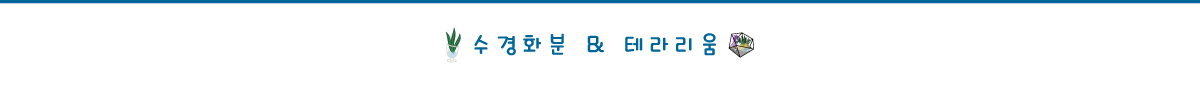 모퉁이공작소 수경화분과 테라리움
